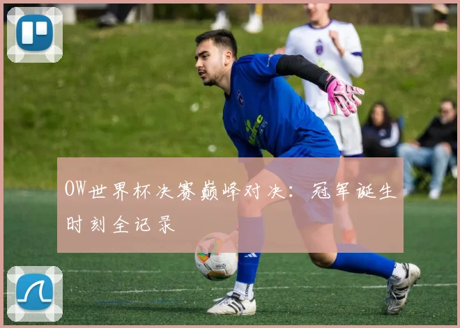 OW世界杯决赛巅峰对决：冠军诞生时刻全记录