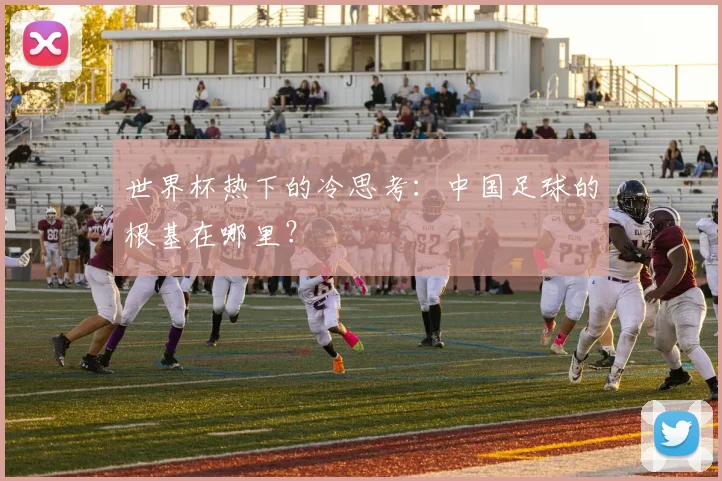 世界杯热下的冷思考:中国足球的根基在哪里?