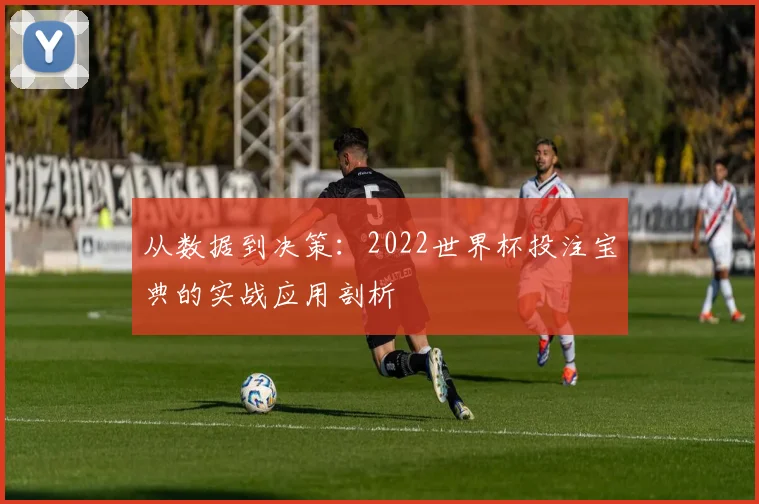 从数据到决策:2022世界杯投注宝典的实战应用剖析