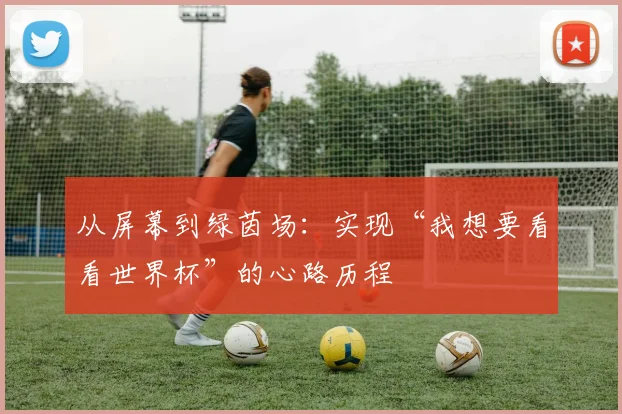 从屏幕到绿茵场:实现“我想要看看世界杯”的心路历程