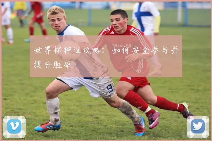 世界杯押注攻略：如何安全参与并提升胜率