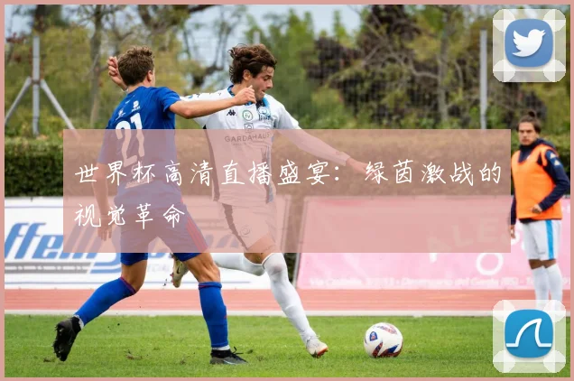 世界杯高清直播盛宴：绿茵激战的视觉革命